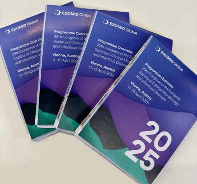 Programme Overview Branding